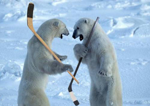 polar-bears-hockey.jpg
